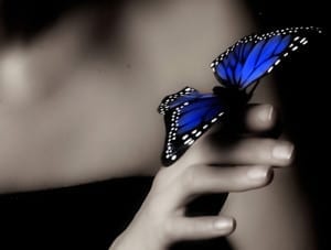 Lee más sobre el artículo Mariposas y el Alma